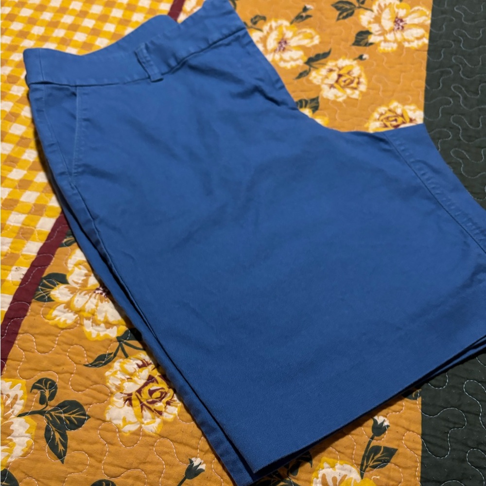 LOFT Julie Blue Shorts - Picture 14 of 14
